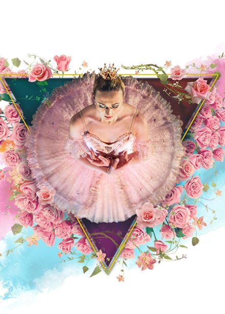 Спящая красавица